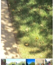 ENZO ANGIOLINI | サンダル