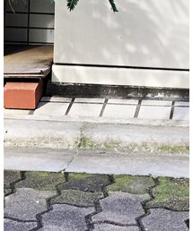 Palm Angels | シューズ