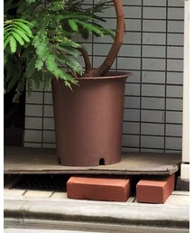 FLAGSTUFF | パンツ