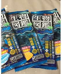 深海生物グミ | その他