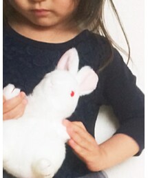 動物園 | おもちゃ