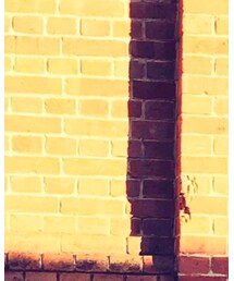 休日 | お天気☀️暖かく感じる♪(その他)