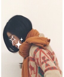 autumn cashmere | マフラー