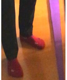 靴下屋 | ソックス/靴下