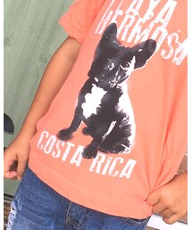 ZARA | Tシャツ/カットソー