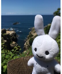 CUNE | 旅には必ず同行するうさちゃんぬいぐるみ(おもちゃ)