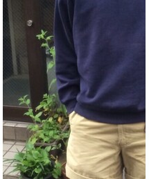 HANES | スウェット