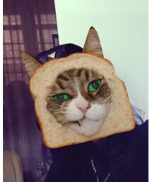 Hater snapback | キャップ