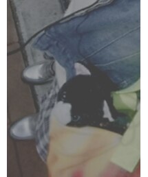 ねこのぴっぐ | その他