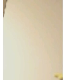 UNIVERSAL STUDIOUS JAPAN | 雑貨/ホビー