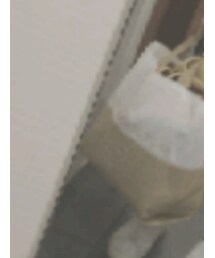 荷物が多い | エコバッグ/サブバッグ