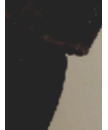 Ehyphen world gallery | スカート