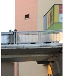 ELVIRA | パーカー