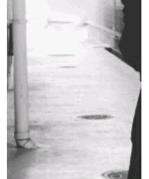 Yohjiyamamoto | その他パンツ