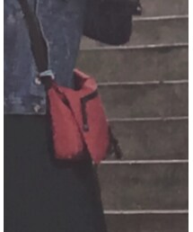 Dickies | メッセンジャーバッグ