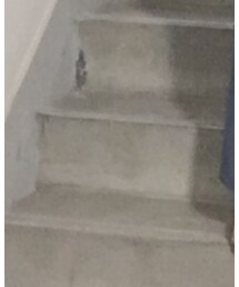 adidas | パンプス