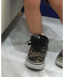 VANS | スニーカー