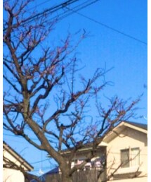 Confirm | ニット/セーター