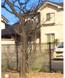 Confirm | シャツ/ブラウス