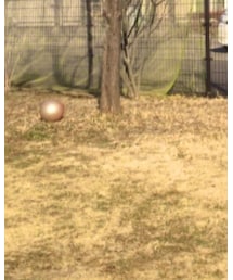 BLUE WAY | デニムパンツ