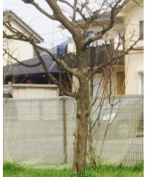 Confirm | Tシャツ/カットソー