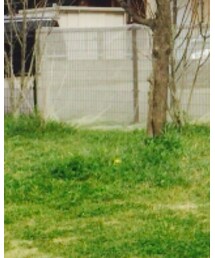 Confirm | デニムパンツ