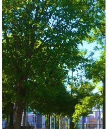 Confirm | ニット/セーター