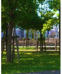 Confirm | その他パンツ