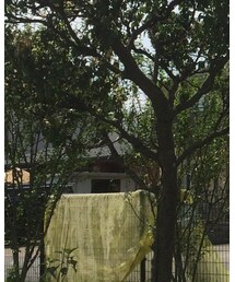 Confirm | Tシャツ/カットソー