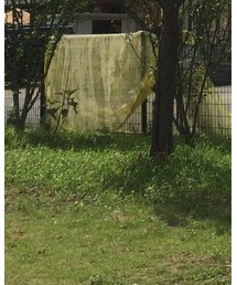 Confirm | シャツ/ブラウス