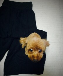 KBF | つなぎ/オールインワン