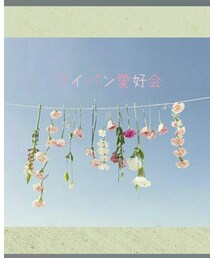 ワイパン愛好会 | 福袋/福箱