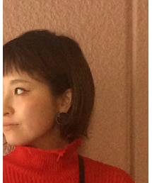 DouDou | ピアス（両耳用）