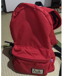 Aiguille Alpine | バックパック/リュック