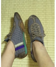 MARNI | スニーカー