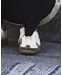 BW SPORT | スニーカー