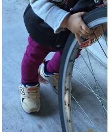 abcd | その他パンツ