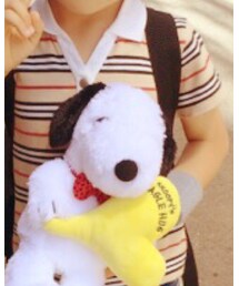 BURBERRY | Tシャツ/カットソー