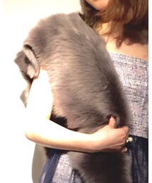 3.6.5jours | ストール/ショール