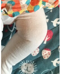 Birthday | タイツ/ストッキング