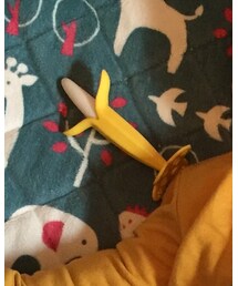 VANANA | 財布/小物