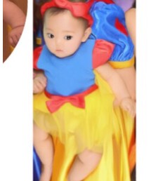 Birthday | ワンピース