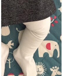 Birthday | タイツ/ストッキング