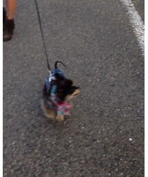 Lee | つなぎ/オールインワン