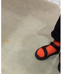 Tabio | ソックス/靴下