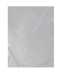 CREATURE | スタジャン