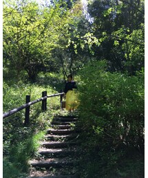 まるで森 | 雑誌