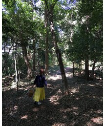 むしろ森 | 雑誌