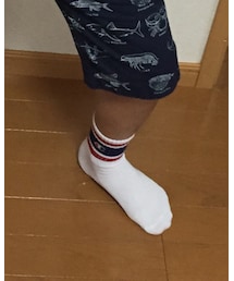 Champion | ソックス/靴下