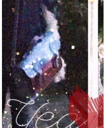 The Cambridge Satchel Company | バッグ